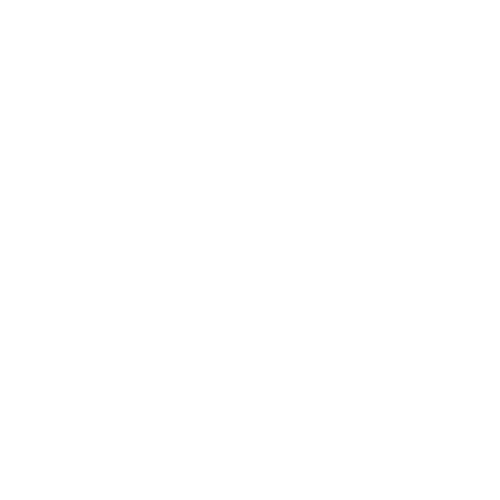 Partner logo 13